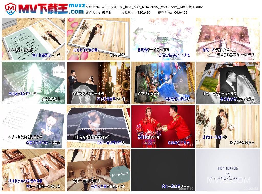 杨川云-到白头_国语_流行_MD403015